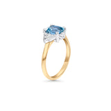 aquamarine-gold coast