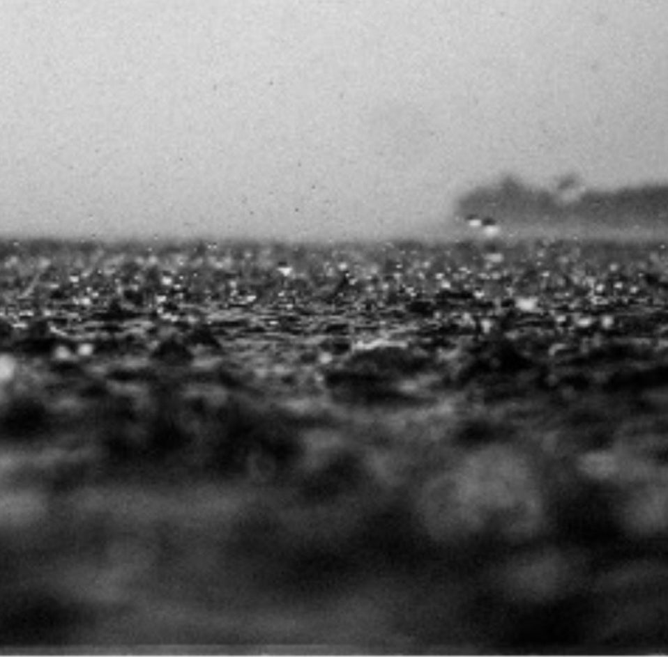 Autumn rain f