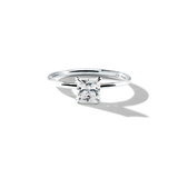 18K White Gold Platinum Princess Engagement Ring