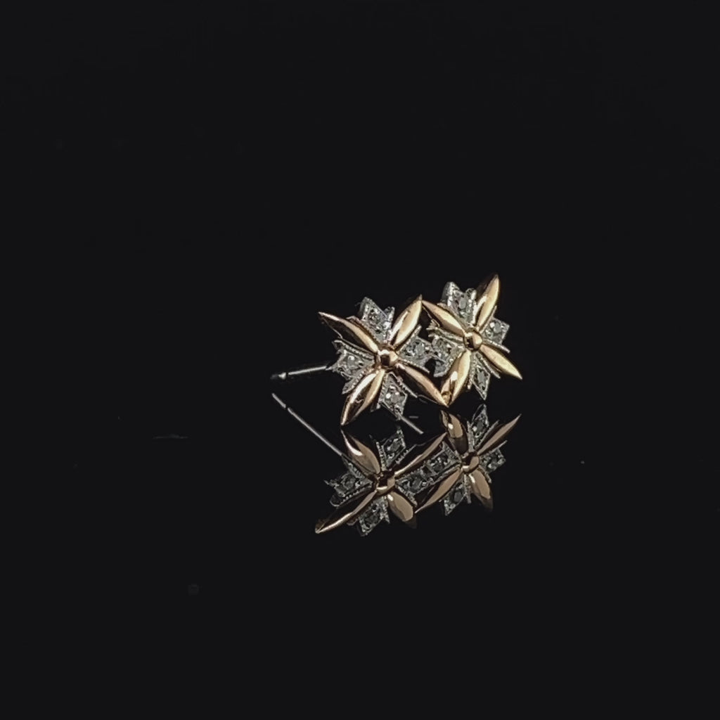Earrings Video